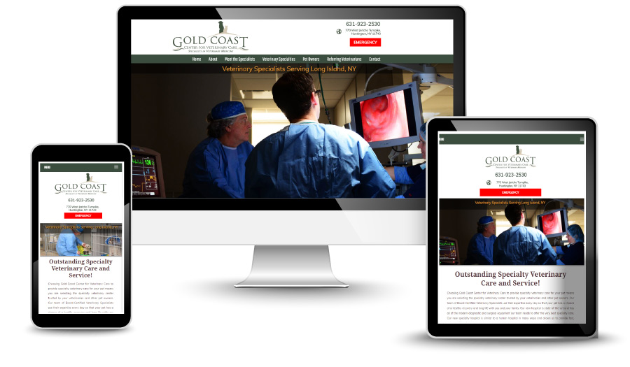 Veterinary Websites